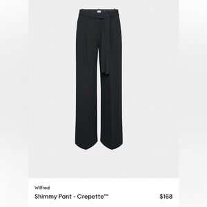 Aritzia Shimmy Pant Size 2, 6 NWT